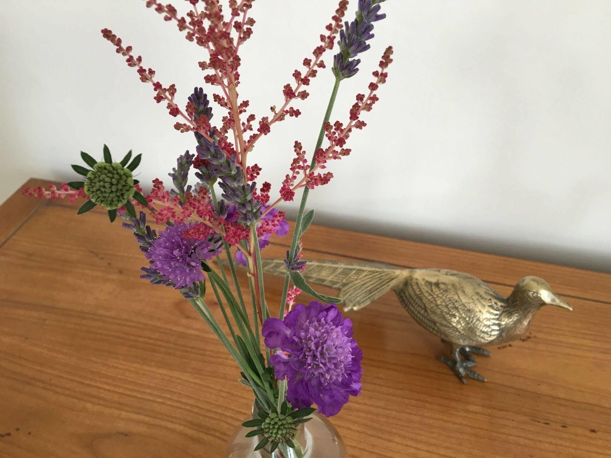 Firhall Highland B&B Grantown-on-Spey Bagian luar foto